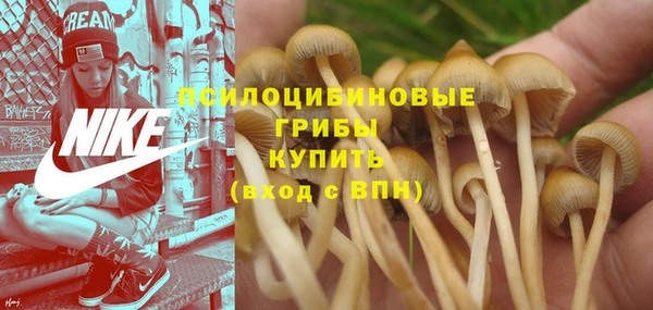 соль курить ск Алексеевка