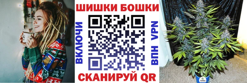 Бошки марихуана OG Kush Нолинск